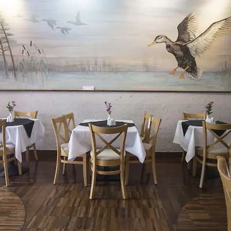 Hotel Wawel Cracovia