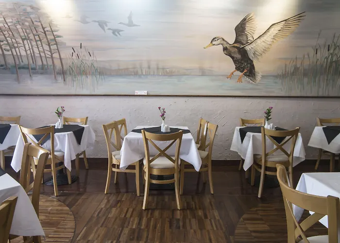 Hotel Wawel Cracovia